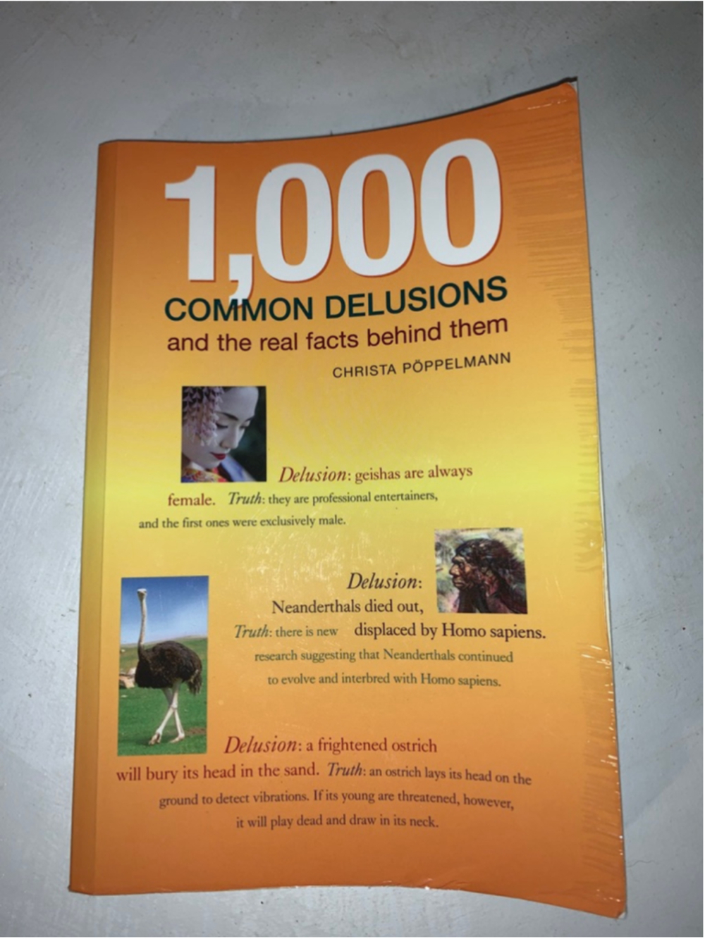 Firefly Books 1,000 Common Delusions paperback Book Orange White One Size